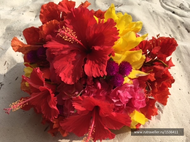 photo 1572909