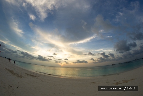 photo 1572917