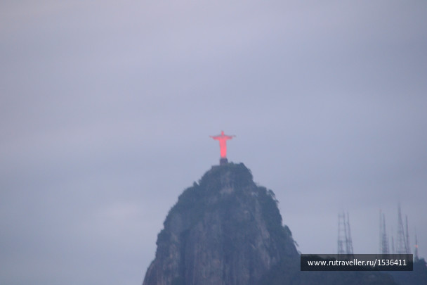 photo 1575528
