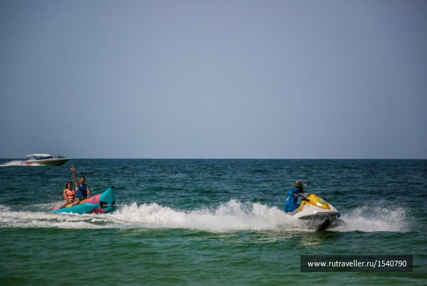 photo 1604893