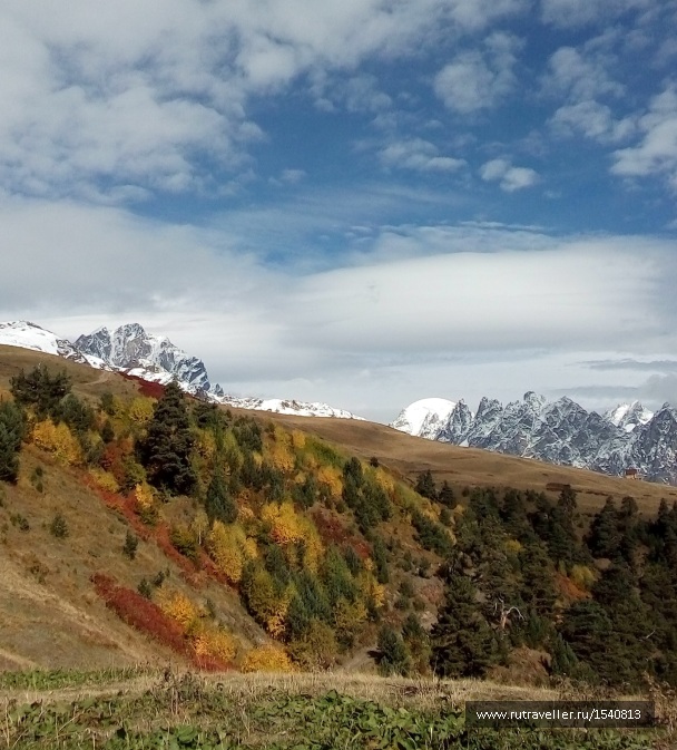 photo 1575648