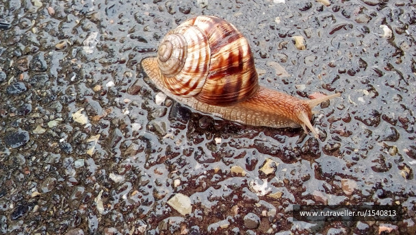 photo 1575677