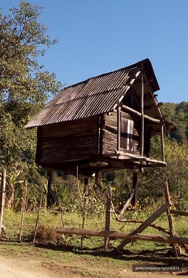 photo 1575721