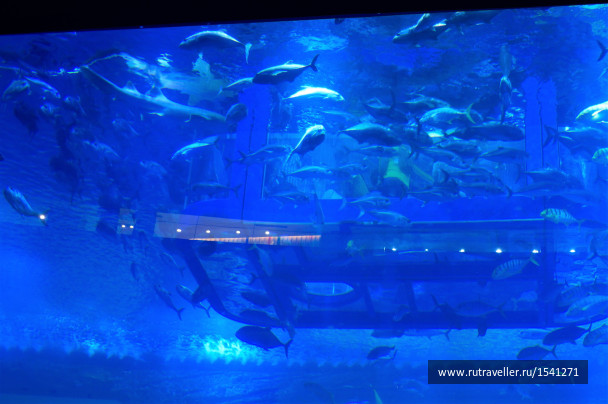 photo 1715575