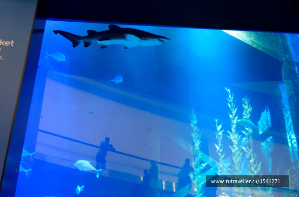 photo 1715576