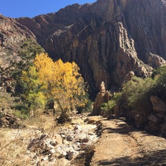 КАНЬОН ОБЛАТОС (BARRANCA DE OBLATOS)Страна: Мексика Город: Гвадалахара