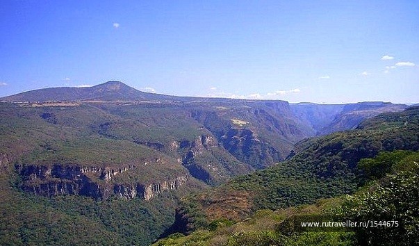 photo 1579768