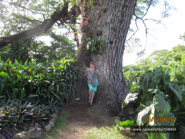 photo 1597672