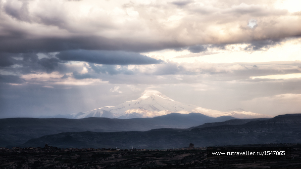 photo 1772120