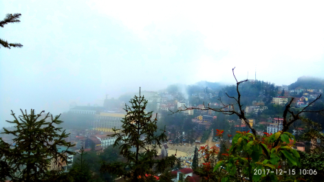 photo 1587311
