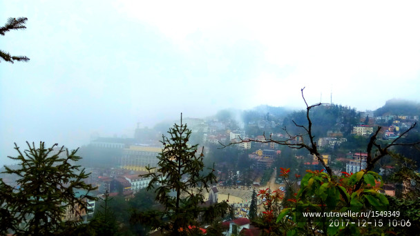 photo 1587311