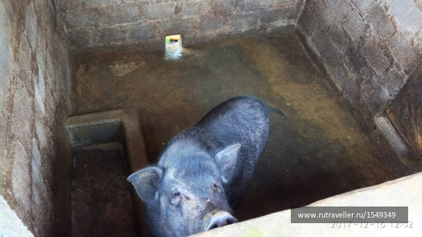 photo 1587313
