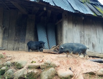 photo 1587314