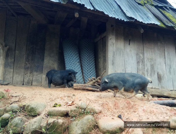 photo 1587314