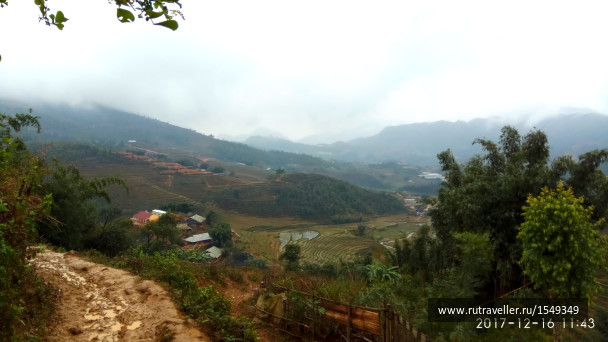 photo 1587317