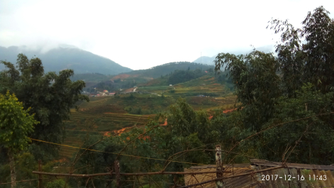 photo 1587318