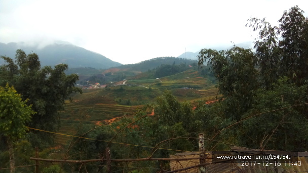 photo 1587318