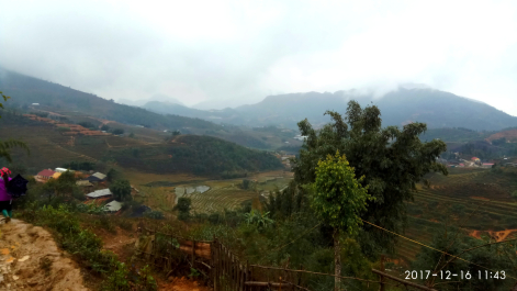 photo 1587319