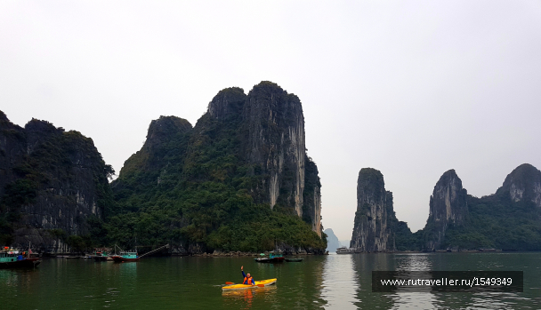 photo 1588124