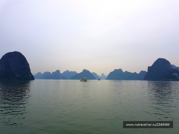 photo 1588131