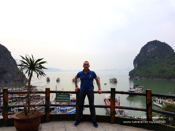 photo 1588137