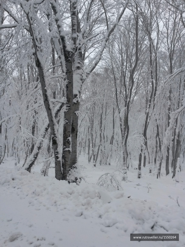 photo 1586327
