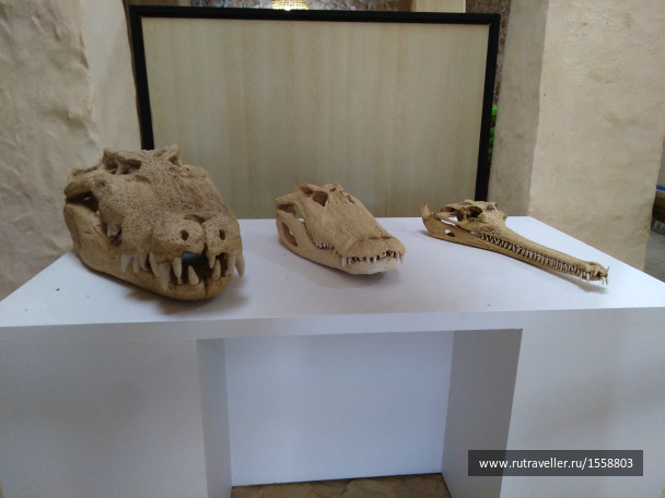 photo 1623321