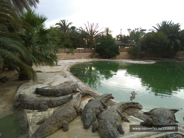 photo 1623323