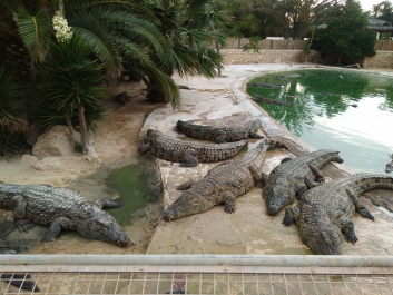 photo 1623324