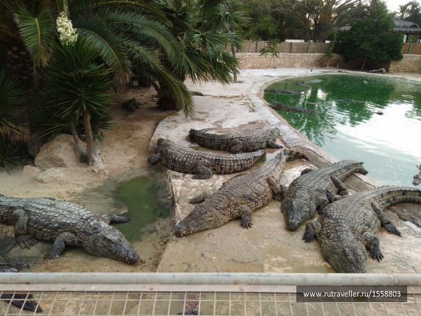 photo 1623324