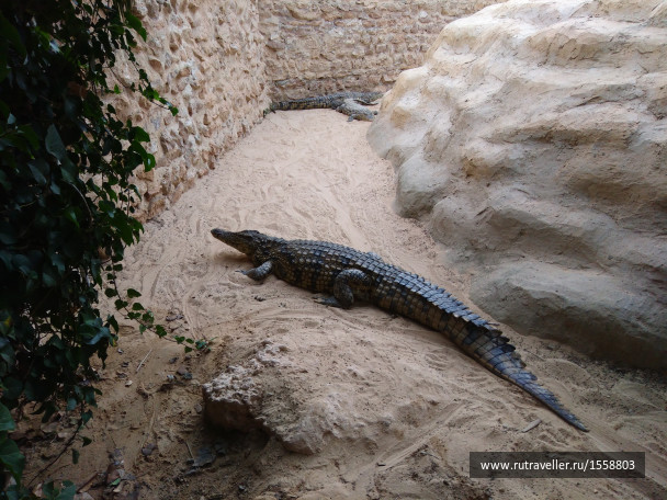 photo 1623326