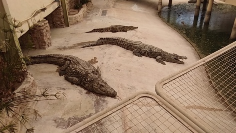 photo 1623327