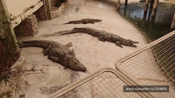 photo 1623327