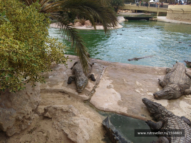 photo 1623328