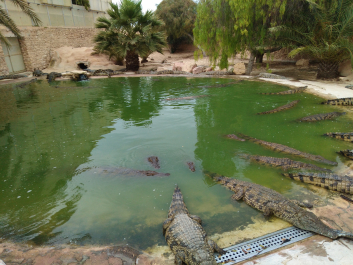 photo 1623329