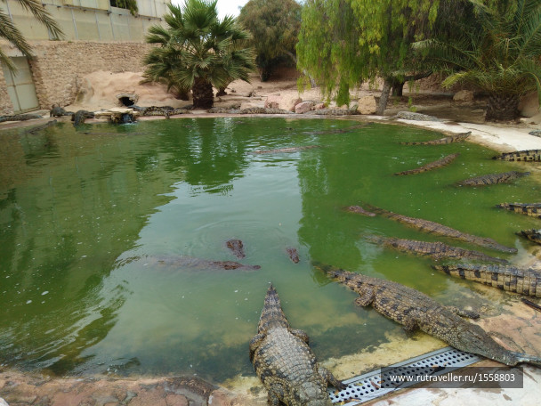 photo 1623329