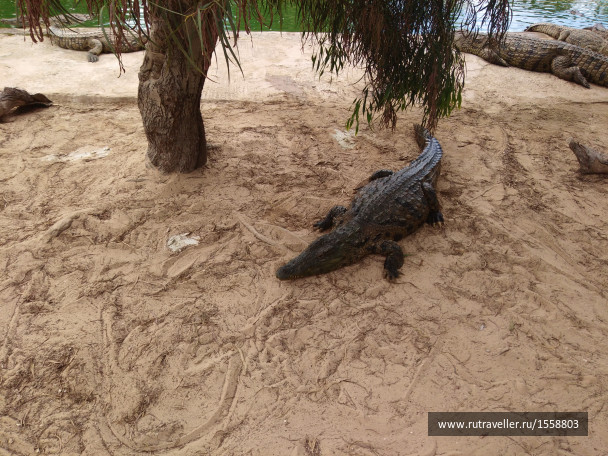 photo 1623330