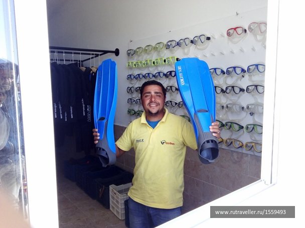 photo 1592908