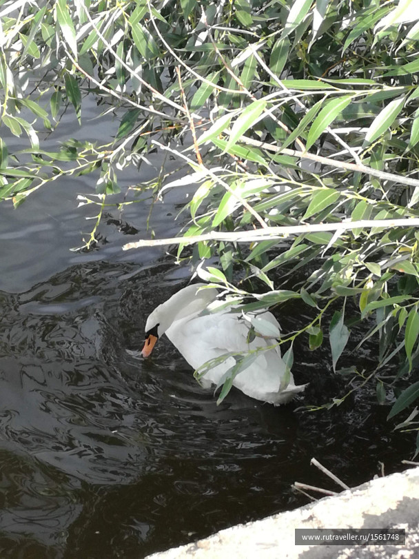 photo 1658886