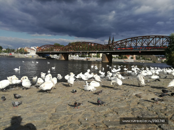 photo 1658887