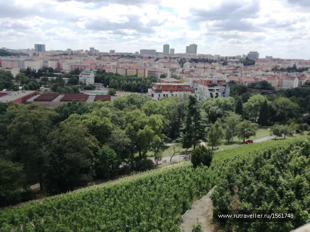 photo 1658892