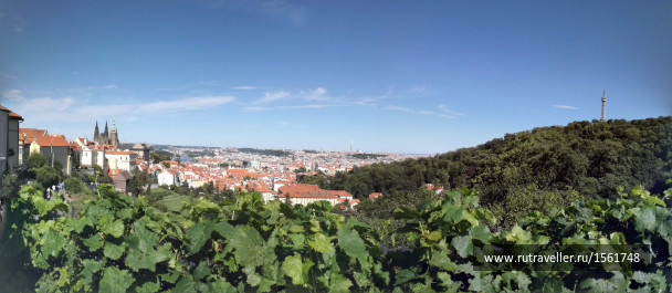 photo 1658895