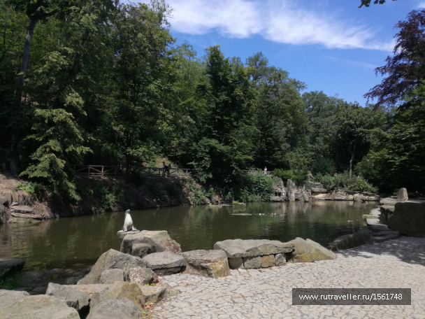 photo 1658908