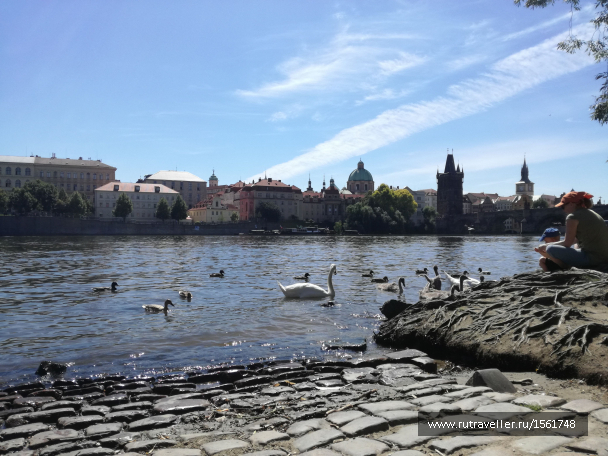 photo 1658911
