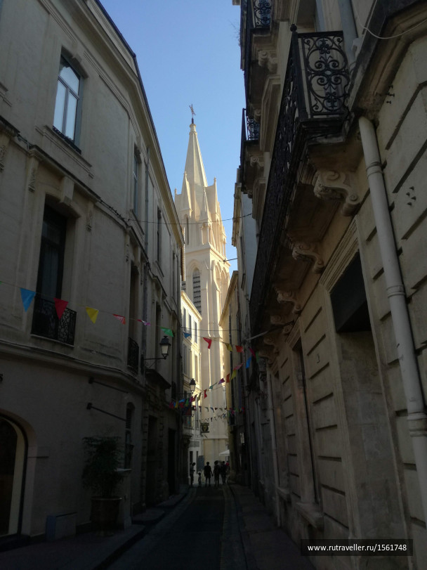 photo 1659028