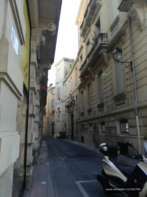 photo 1659029