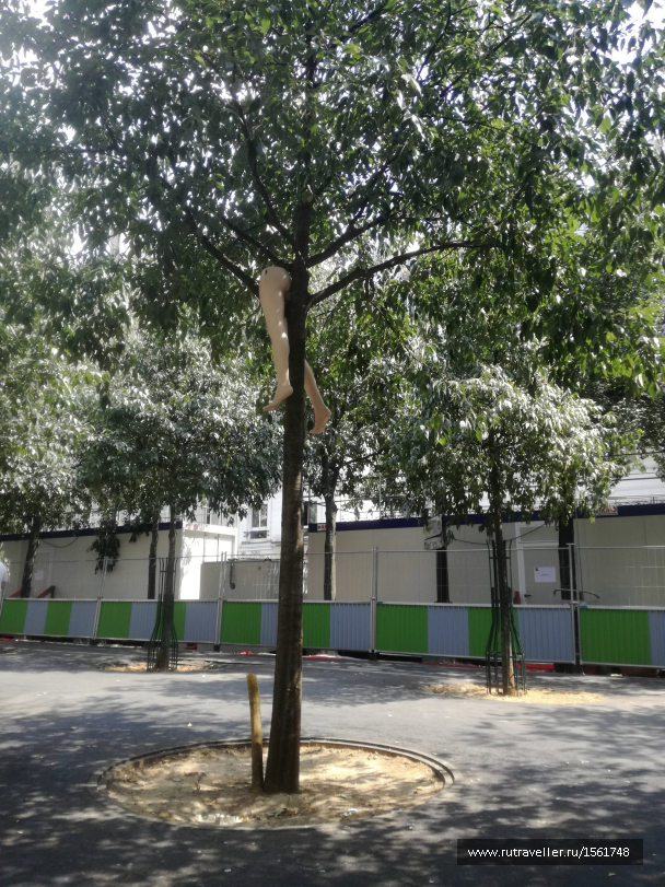 photo 1661349