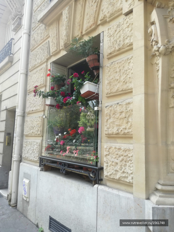 photo 1661357