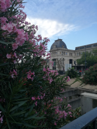 photo 1661445