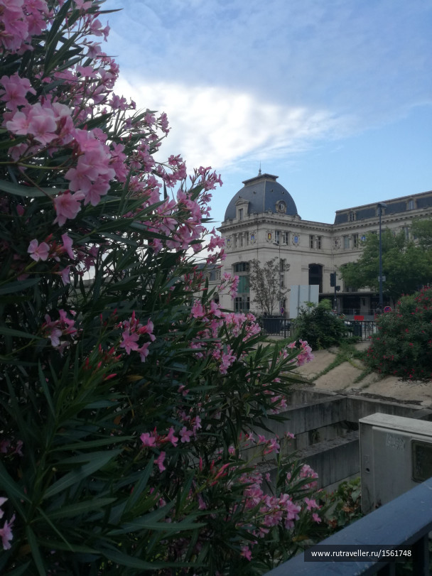 photo 1661445